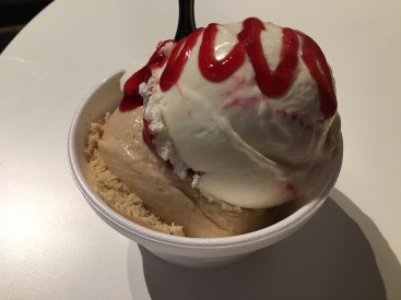 Two flavors from The Revolution, Tampa, FL | In Search of a Scoop