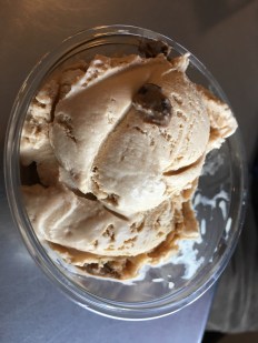 Two scoops from Walrus Ice Cream, Fort Collins, Co | In Search of a Scoop
