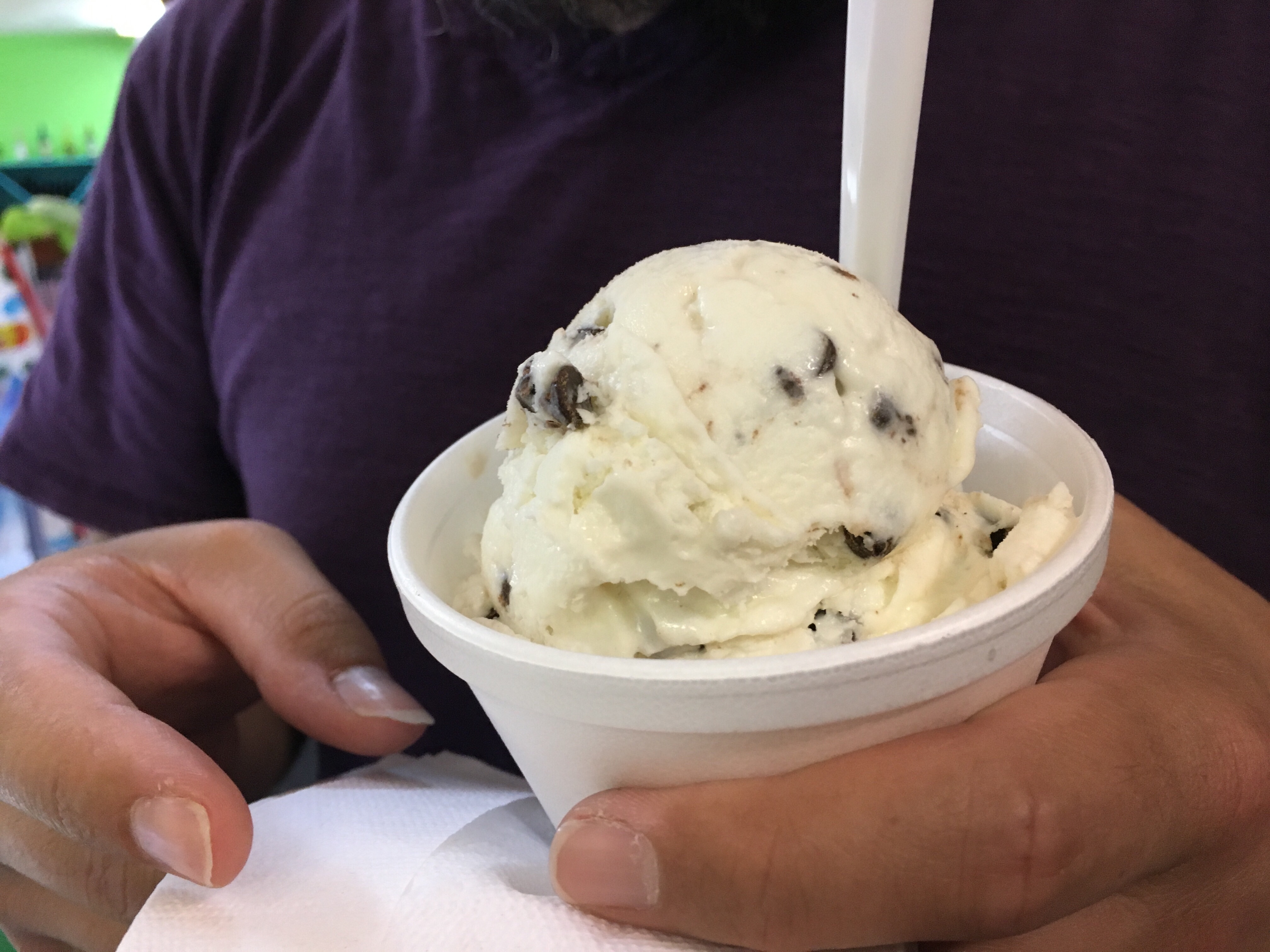 Chocolate Chip ice cream, Duck, NC | In Search of a Scoop