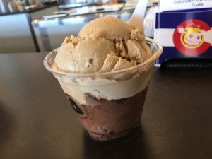 Sweet Cow, Boulder, CO | In Search of a Scoop