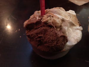 Gelato Fiasco, Brunswick, ME | In Search of a Scoop