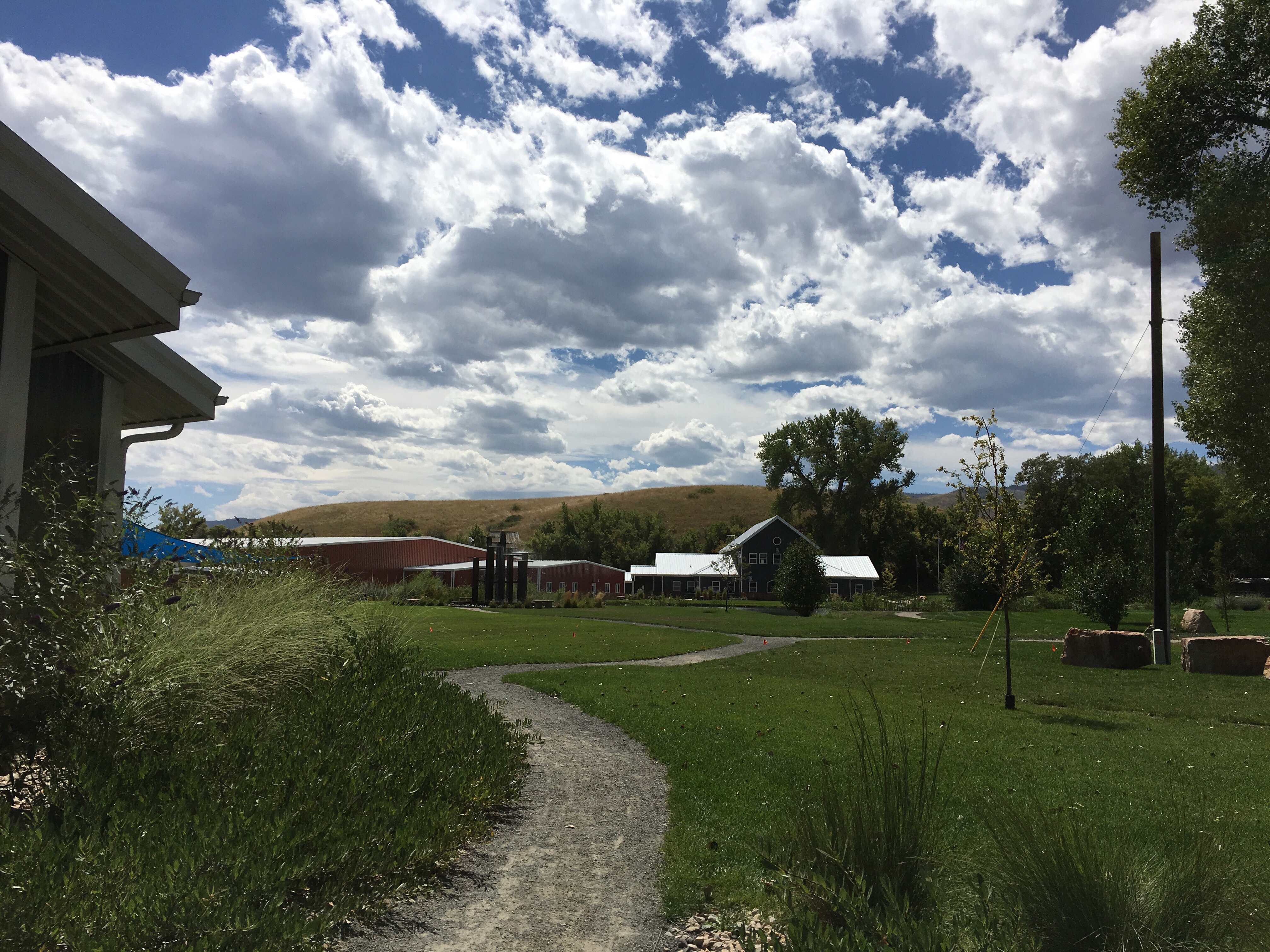 Howling Cow Cafe, Bellevue, CO | In Search of a Scoop