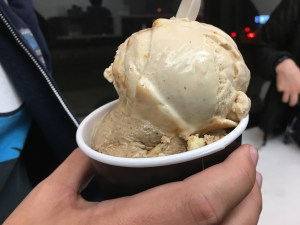 Ice and Vice, New York City | In Search of a Scoop