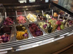 Gelato, Frost ABQ, Albuquerque, NM | Ross and Jamie Adventure