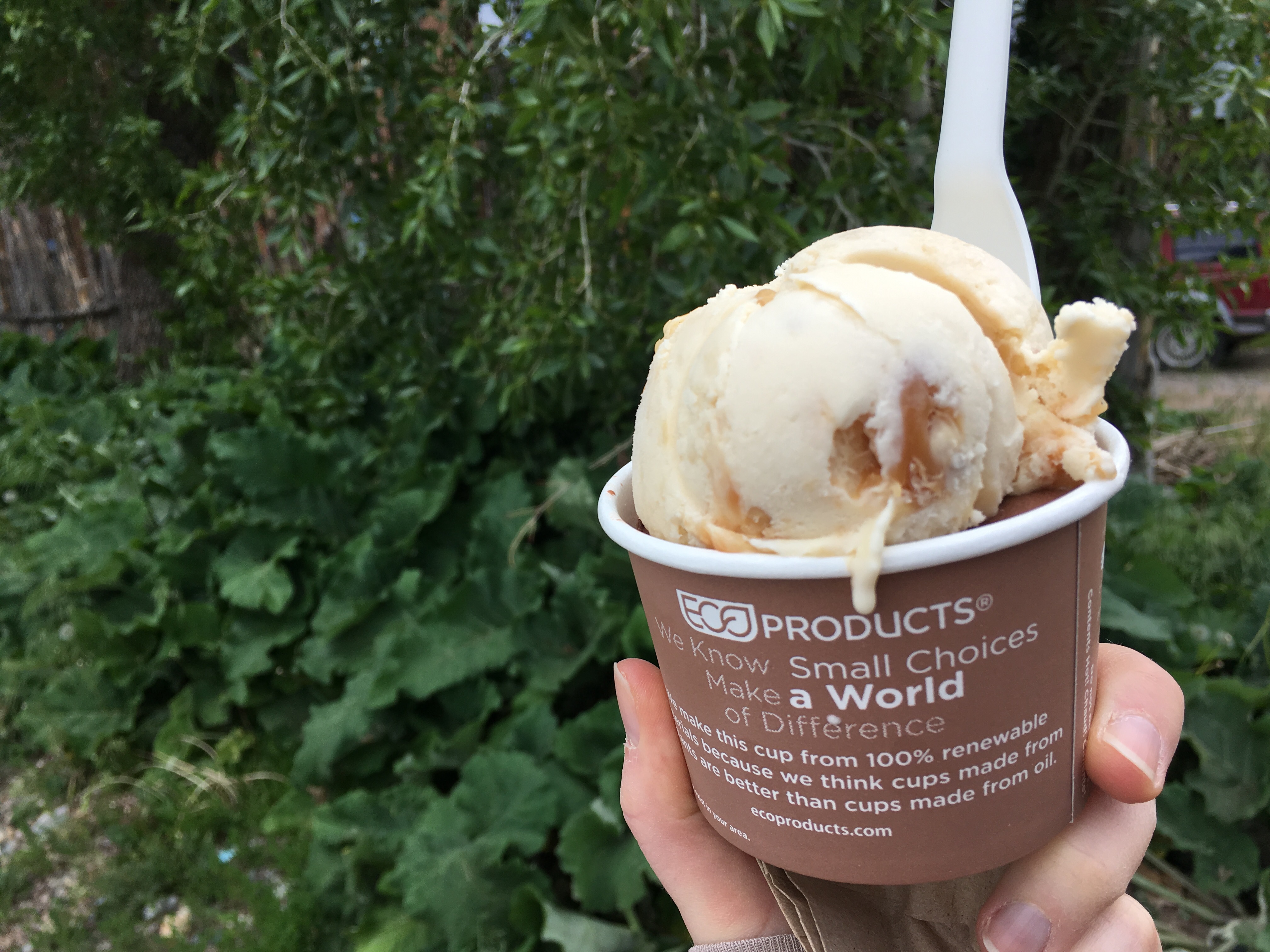 Taos Cow, Taos, NM | In Search of a Scoop